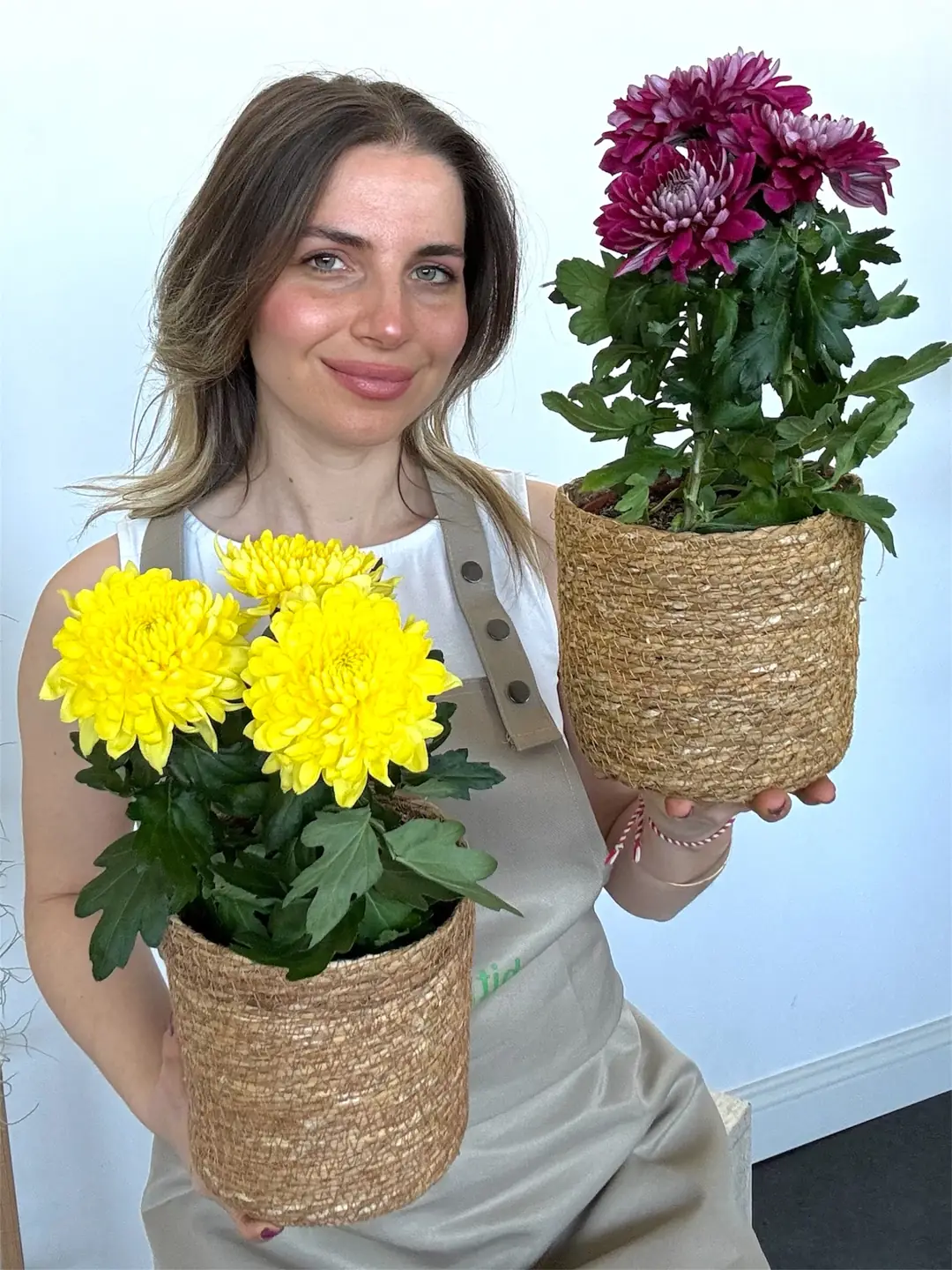Krizantem Chrysanthemum Anastasya Mix İkili Set ( Sarı- Pembe )