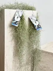 Hava Bitkisi 80 cm Dolgun Kancalı (Tillandsia Usneoides) – Sarkıcı Dekoratif İspanyol Yosunu 1