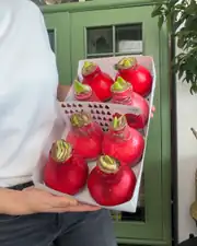 Amaryllis Mum Kaplama Tasarım – Sulama Gerektirmeyen Koleksiyonluk Dekoratif Çiçek 2