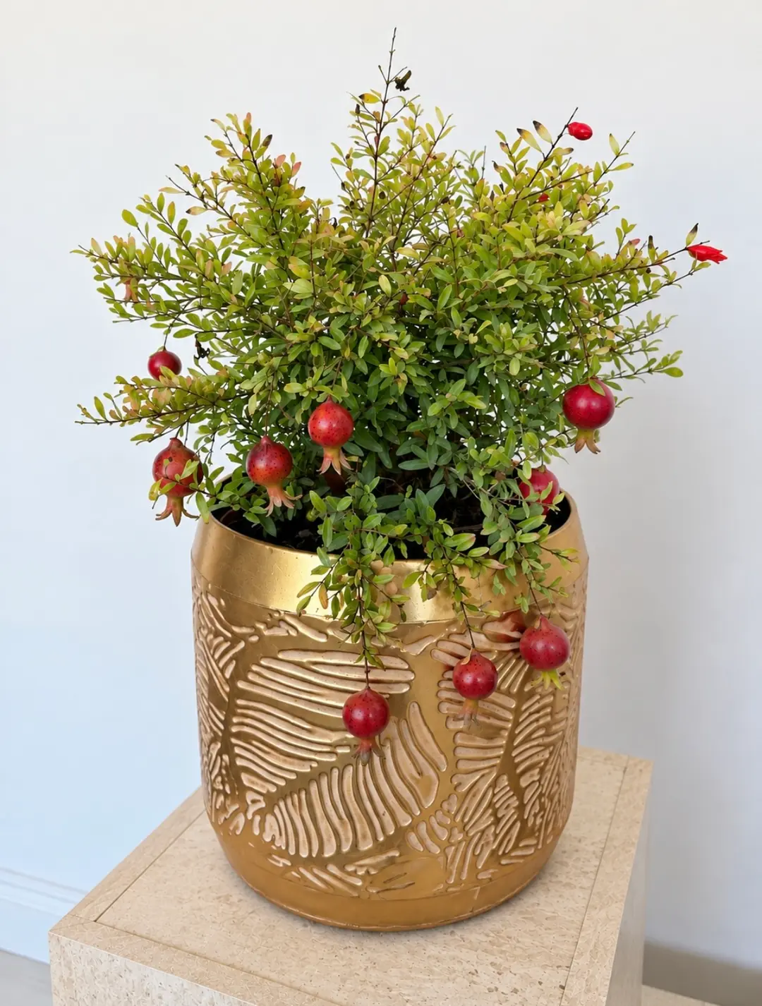 Bonsai Nar – Punica Granatum