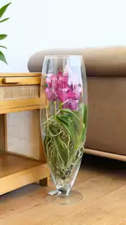 Vanda Orkide ( Hava Bitkisi ) Cam Vazoda 3