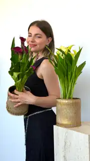 Gala ( Zantedeschia ) Çiçeği Beyaz veya Pembe 3