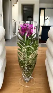Vanda Orkide ( Hava Bitkisi ) Cam Vazoda 4