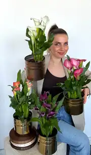 Gala ( Zantedeschia ) Çiçeği Beyaz veya Pembe 2