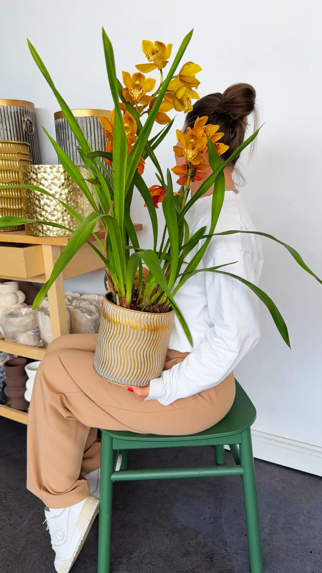Cymbidium Orkide  5