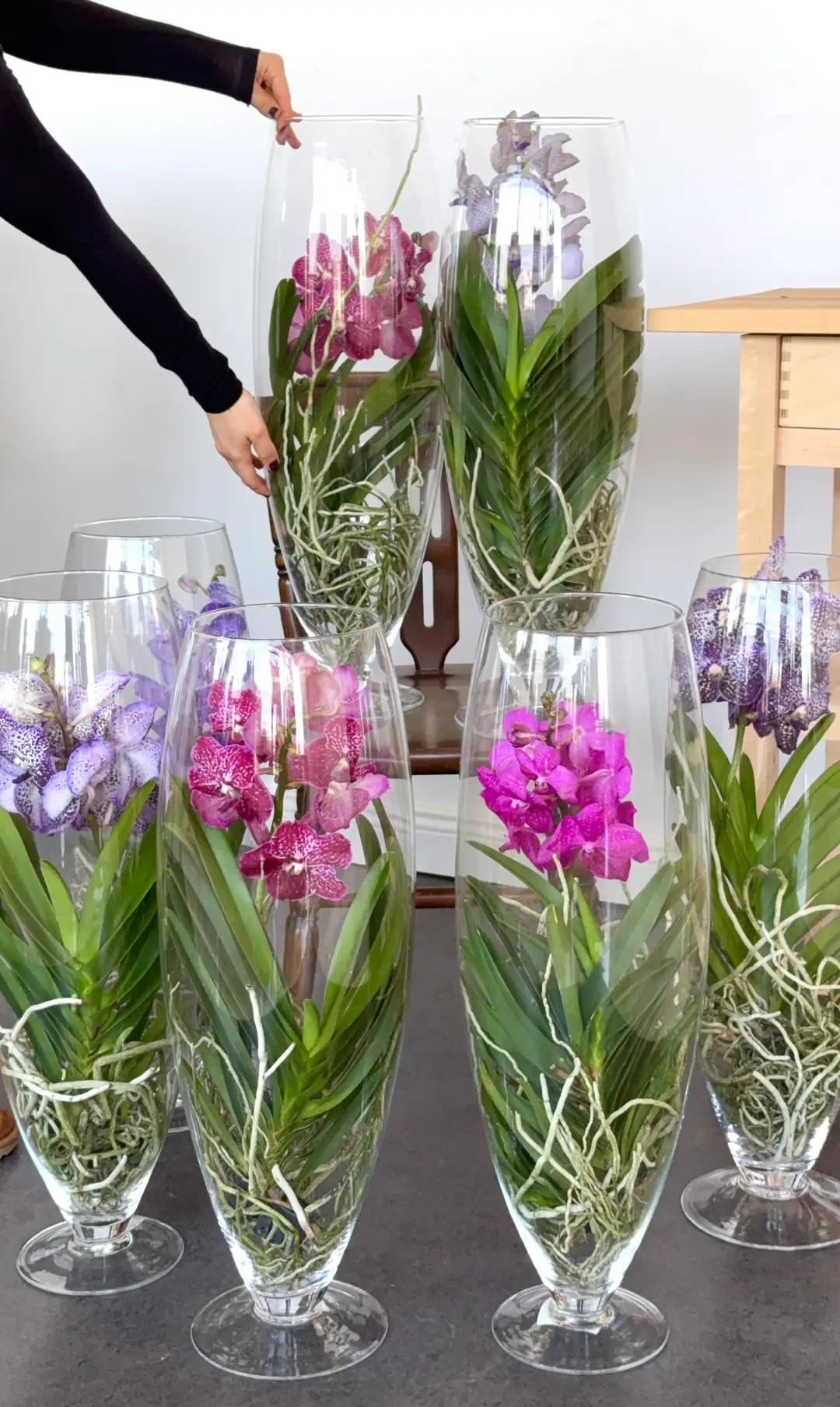 Vanda Orkide ( Hava Bitkisi ) Cam Vazoda