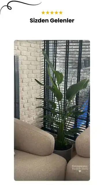 Customer story